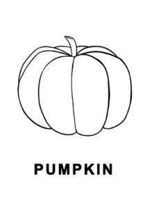 pumpkin