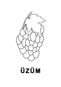 üzüm